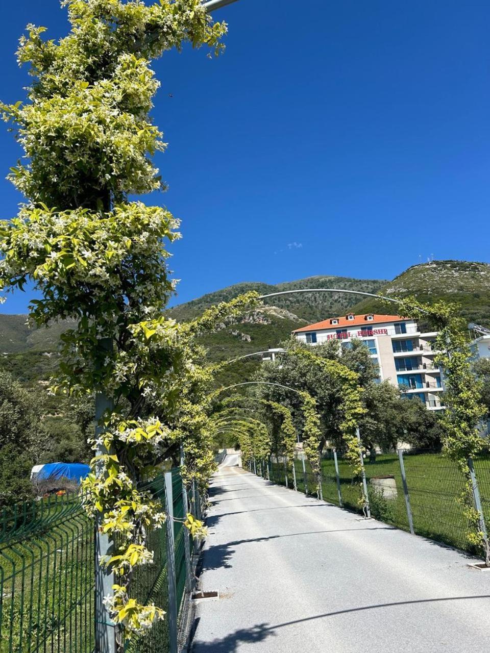 Hotel Borshi Экстерьер фото